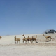 Illustration for article titled That One Time I Drove to the Bottom of Argentina
